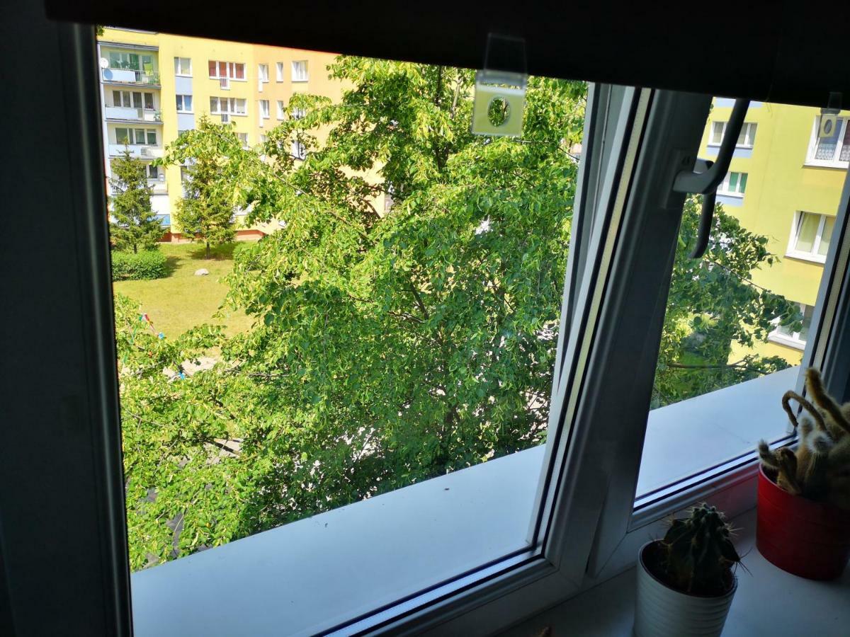 Poza Zgielkiem Miasta, A Jednak Wszystko W Zasiegu Бидгошч Екстериор снимка